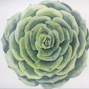 Meet your Posher, Miriam